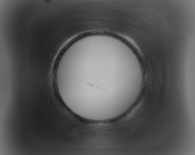 X0000100400879200806060852