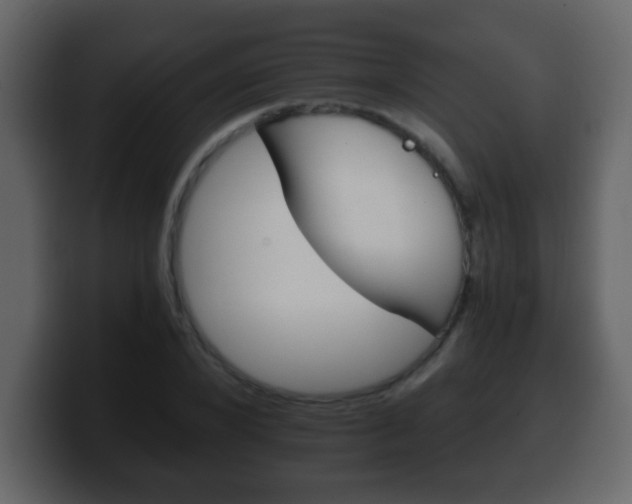 X0000100400880200806060852