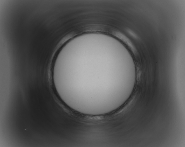 X0000100400882200806060852