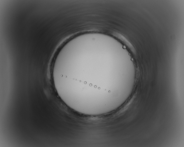 X0000100400883200806060852