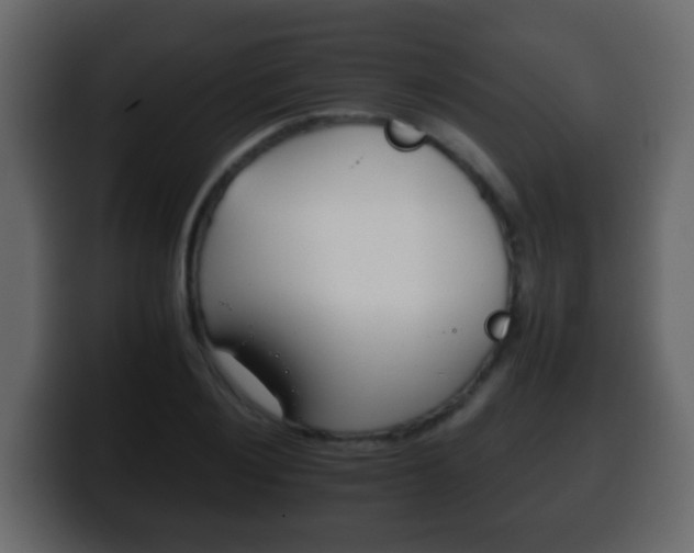 X0000100400884200806060852
