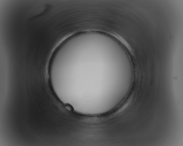 X0000100400885200806060852