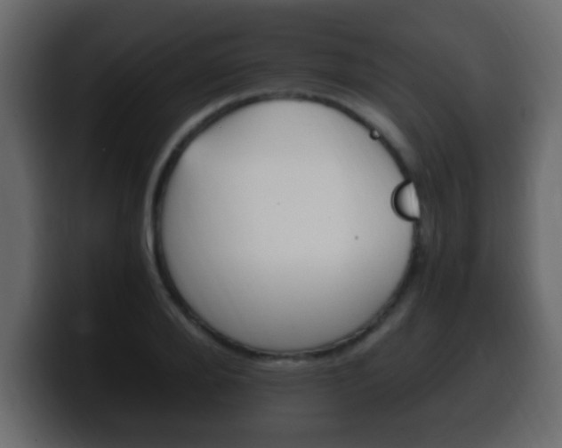 X0000100400888200806060852