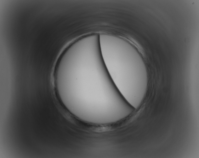 X0000100400891200806060852