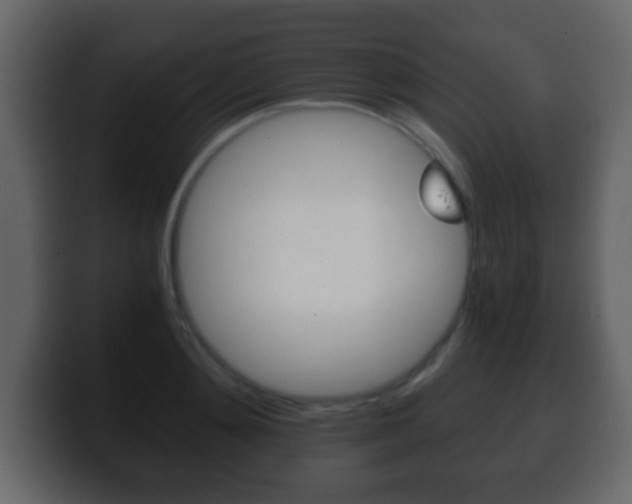 X0000100400892200806060852