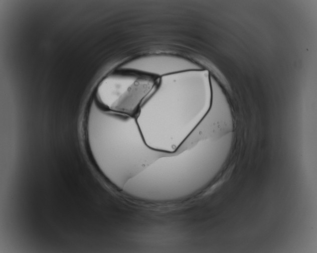 X0000100400893200806060852