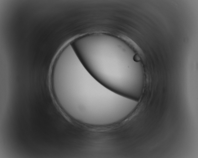 X0000100400894200806060852