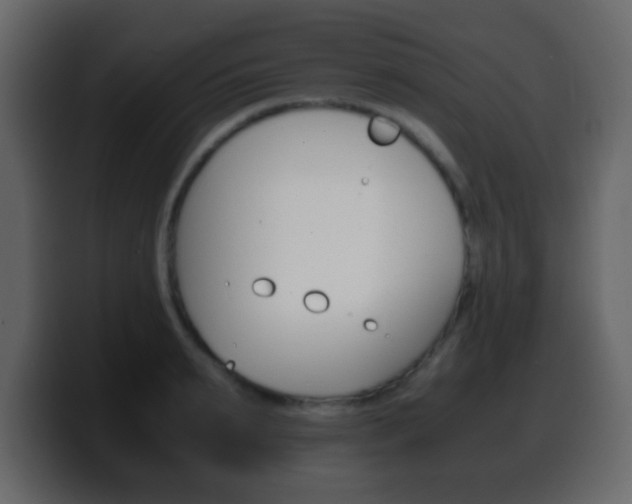 X0000100400895200806060852