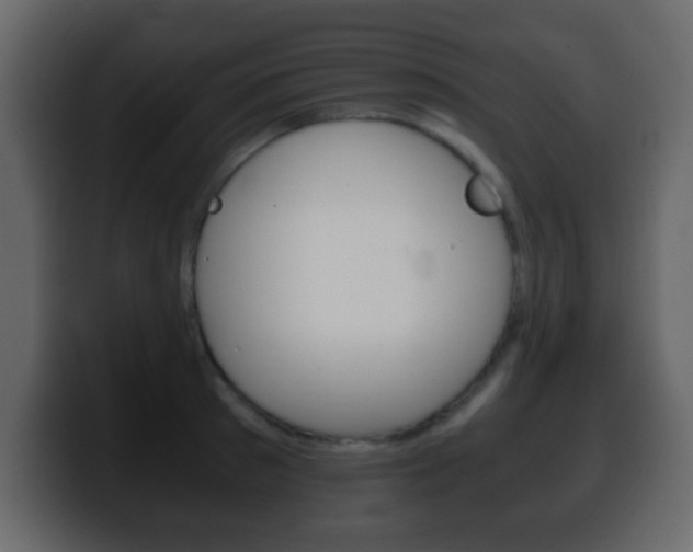 X0000100400897200806060852