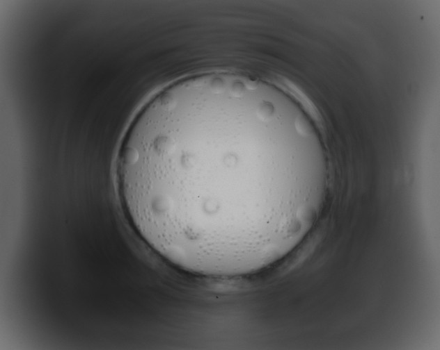 X0000100400899200806060852