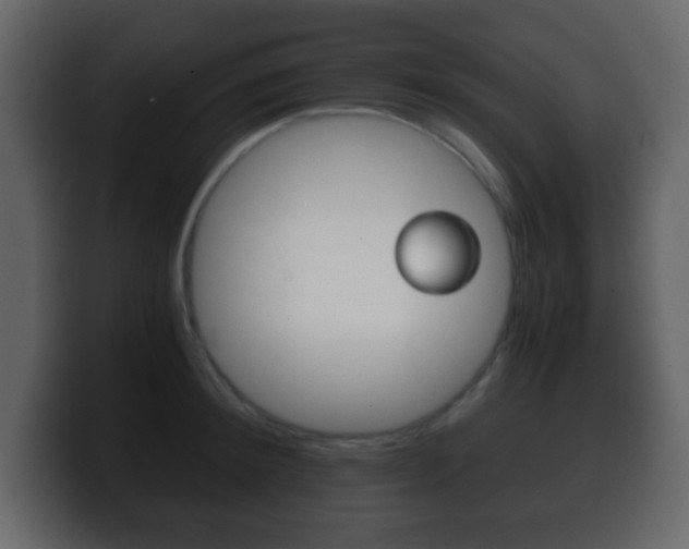 X0000100400900200806060852