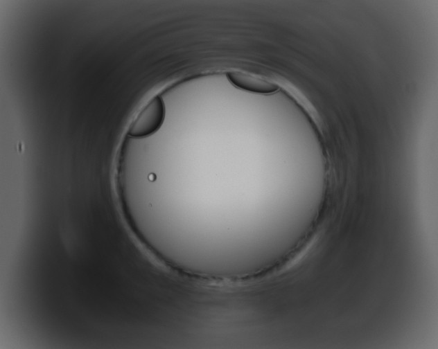 X0000100400901200806060852