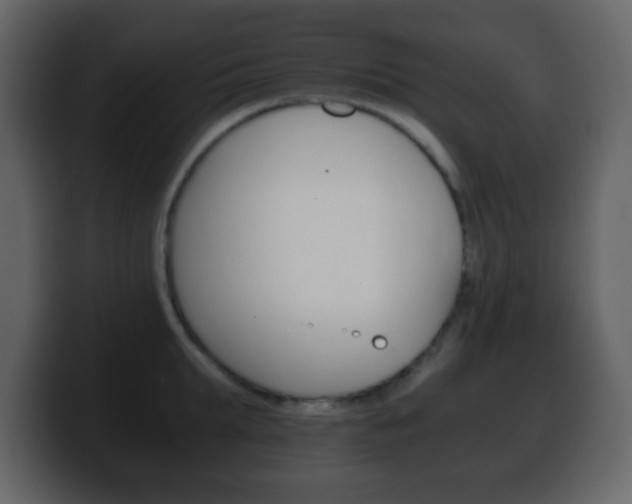 X0000100400903200806060852