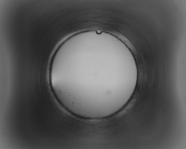 X0000100400904200806060852