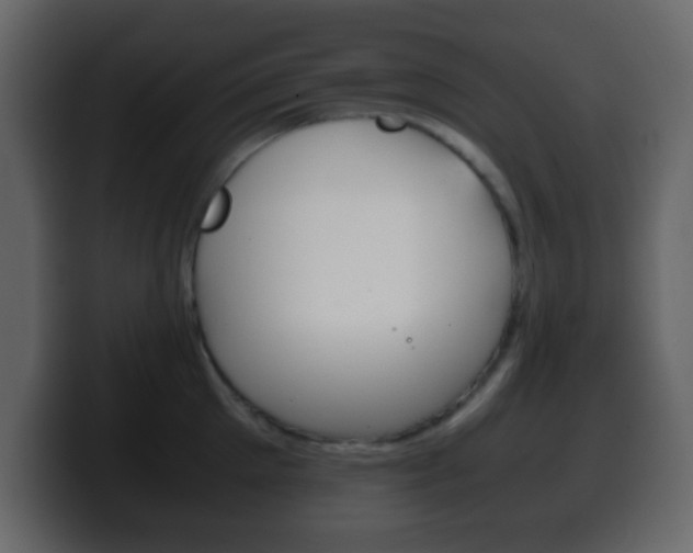 X0000100400905200806060852
