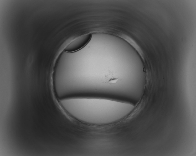 X0000100400906200806060852