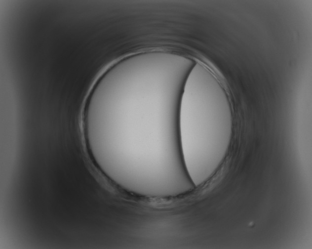 X0000100400907200806060852