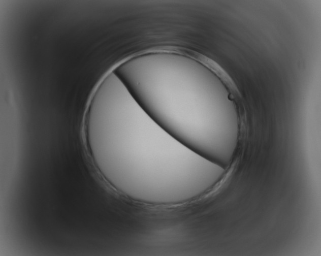 X0000100400908200806060852