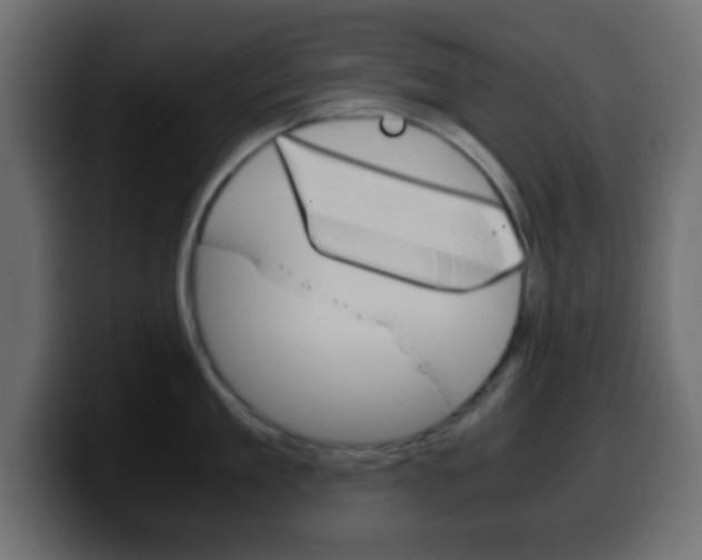 X0000100400909200806060852