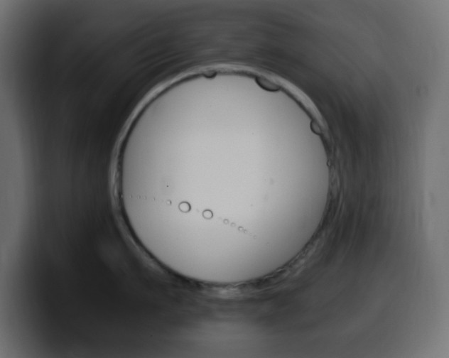 X0000100400911200806060852