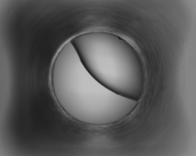 X0000100400912200806060852