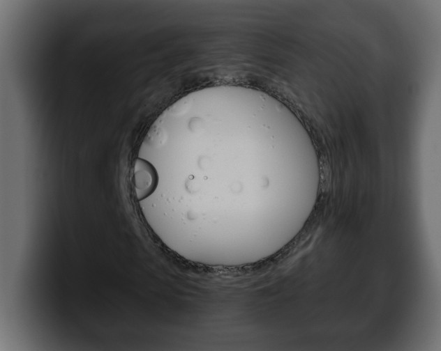 X0000100400913200806060851