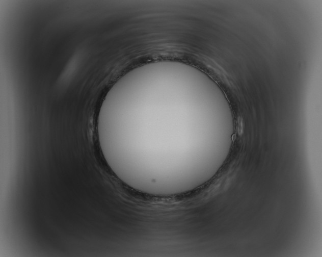X0000100400915200806060851
