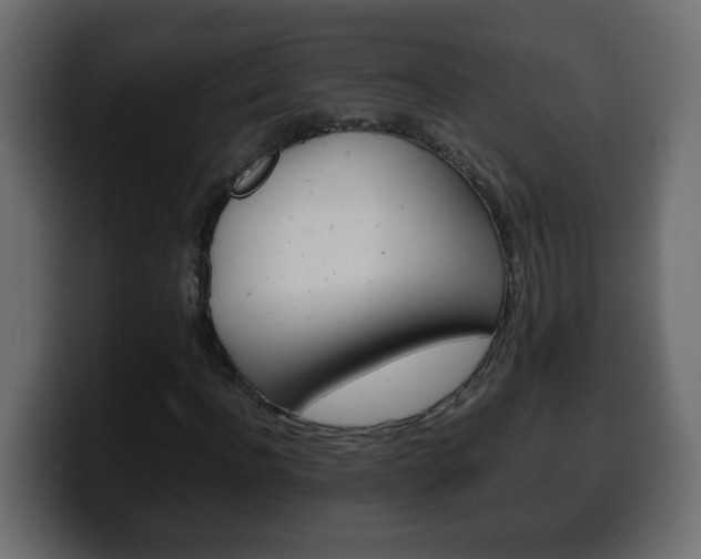 X0000100400916200806060851
