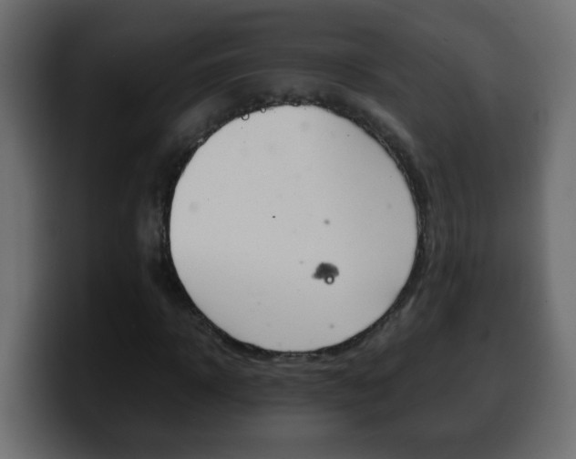X0000100400918200806060851