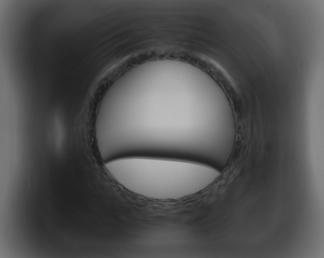 X0000100400919200806060851