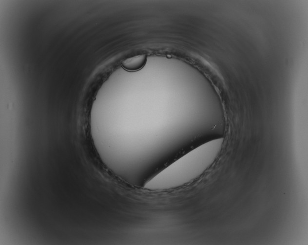 X0000100400920200806060851
