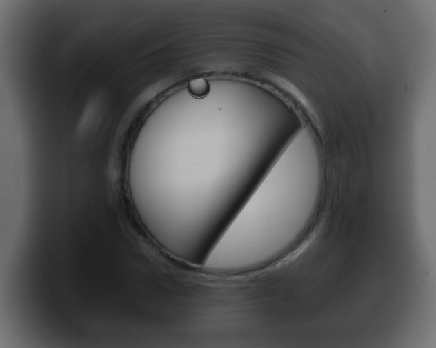 X0000100400922200806060851