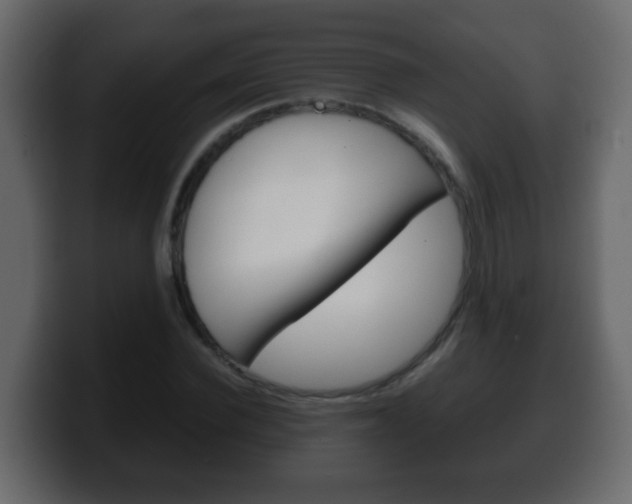 X0000100400924200806060851