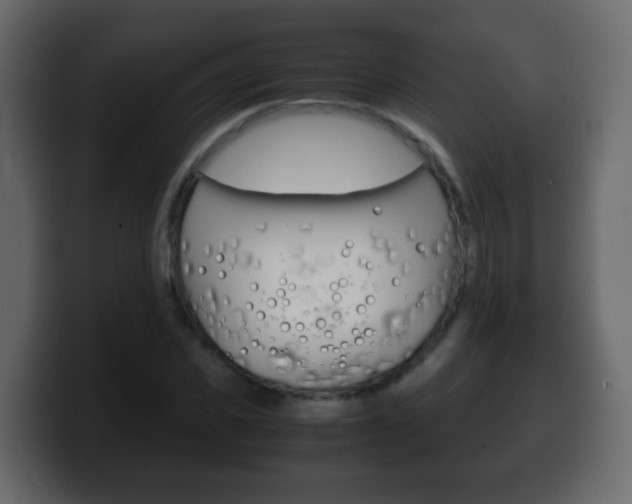 X0000100400925200806060851