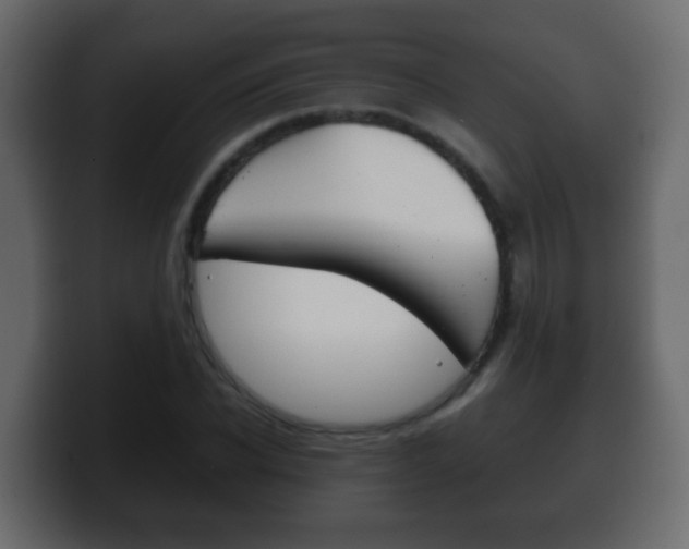 X0000100400926200806060851