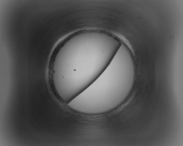 X0000100400928200806060851