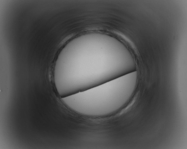 X0000100400929200806060851