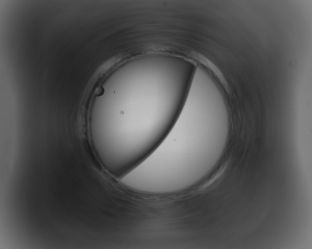 X0000100400930200806060851