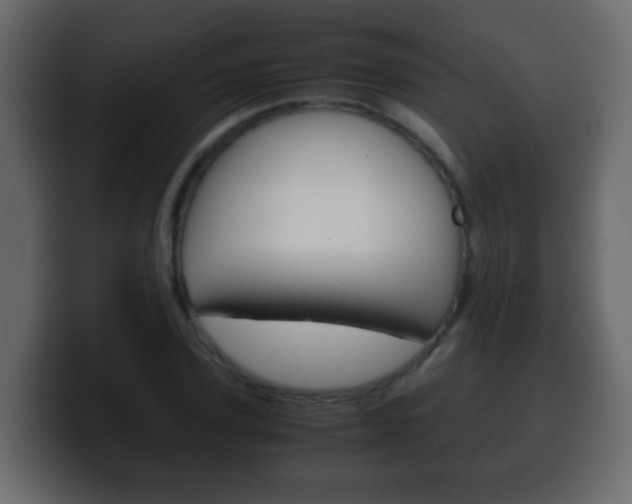X0000100400931200806060851