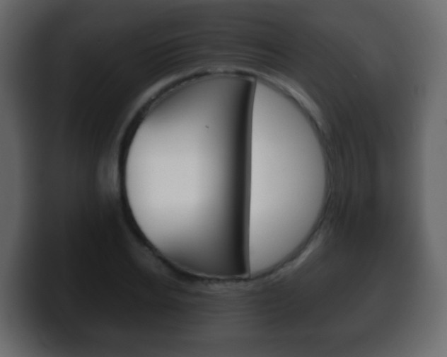 X0000100400934200806060851