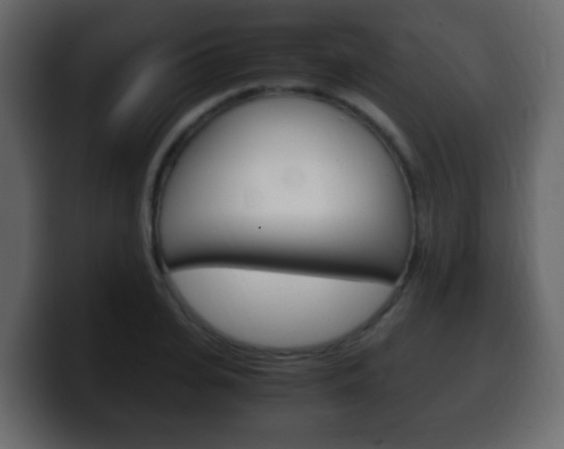 X0000100400935200806060851