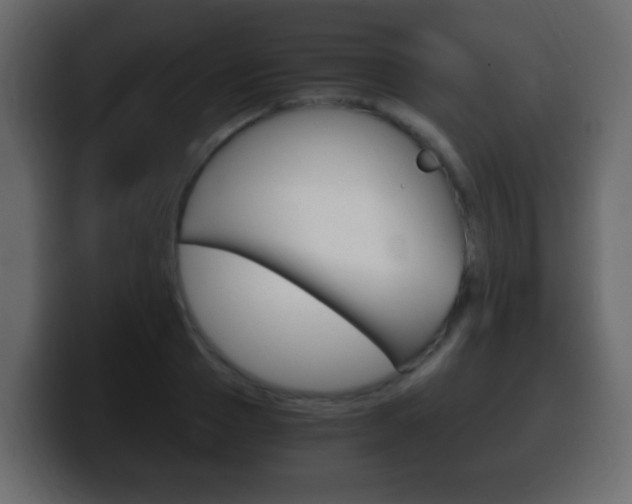 X0000100400937200806060851