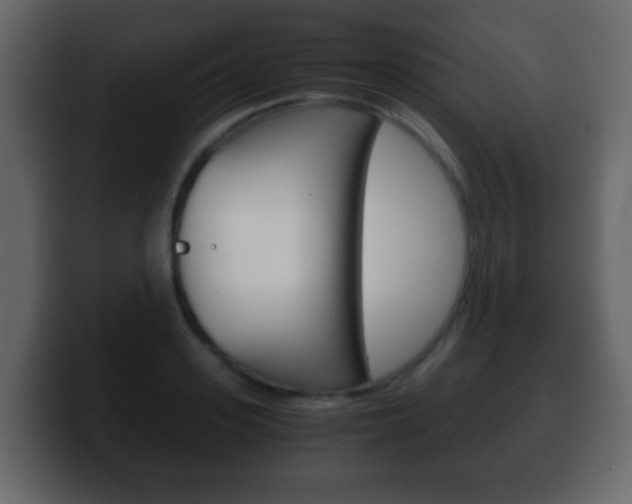 X0000100400939200806060851