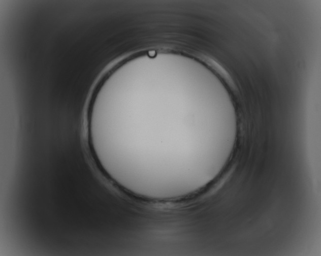 X0000100400940200806060851