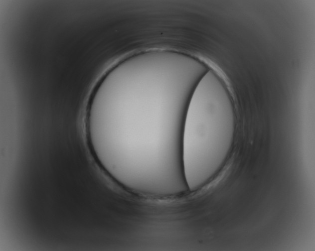 X0000100400941200806060851