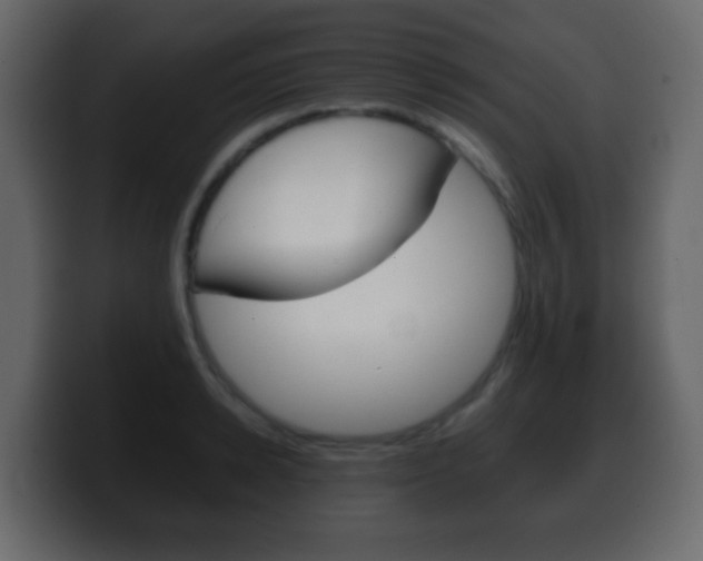 X0000100400942200806060851