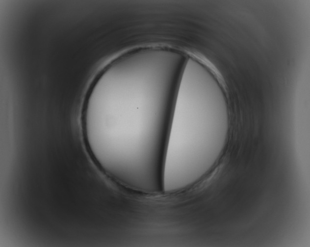 X0000100400943200806060851