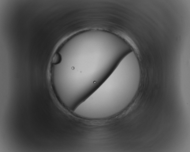 X0000100400944200806060851