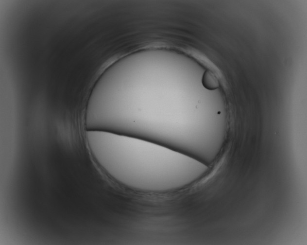X0000100400945200806060851