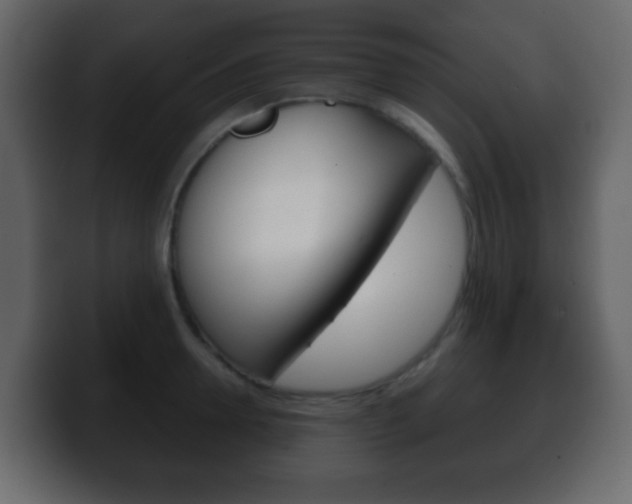 X0000100400946200806060851